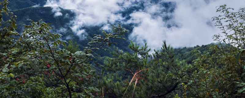 念奴娇井冈山赏析