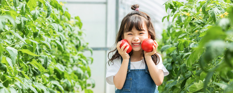 如何引导幼儿认识蔬菜