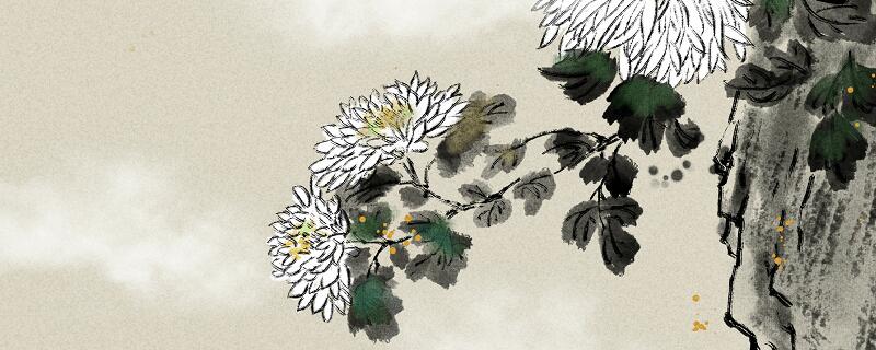 野菊杨万里颔联描绘了怎样的野菊形象