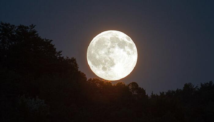 十五夜望月描绘了一幅怎样的画面