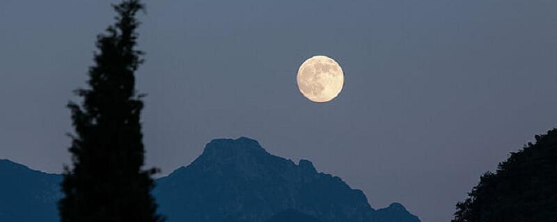 月是故乡明课文中作者由月亮想到了哪些往事和经历