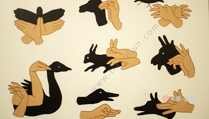 手影戏可以通过手势的变化,创造出各种不同的形象,因为手影戏主要