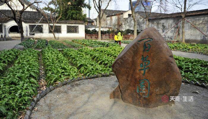 从百草园到三味书屋表达了什么感情 从百草园到三味书屋表达了作者