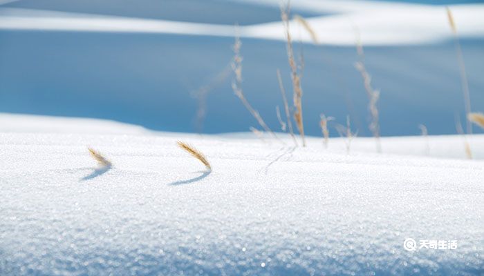 世说新语咏雪原文 