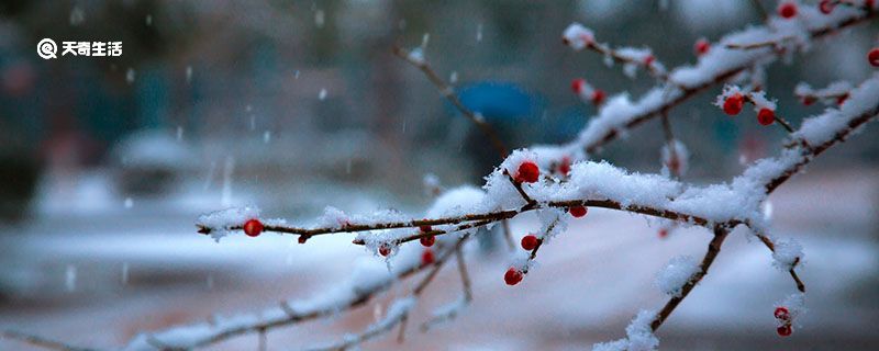 世说新语咏雪原文 