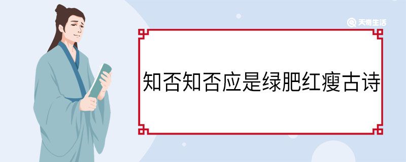 知否知否應(yīng)是綠肥紅瘦古詩