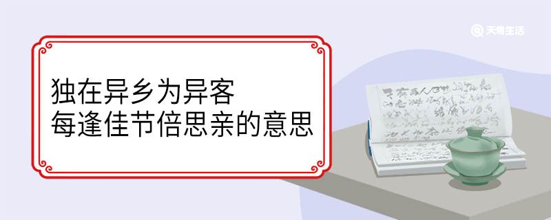 独在异乡为异客,每逢佳节倍思亲的意思