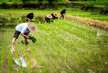 選民名單在選舉日的多少日前公布 選民名單的公布時間