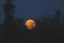 月是故乡明出自于杜甫的什么 月是故乡明的题目出自哪首诗