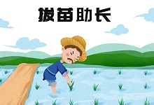 拔苗助长的错误主要在于 揠苗助长的人犯了什么错误