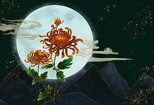 还来就菊花还读hai对吗 还来就菊花的全诗