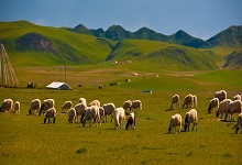 天苍苍野茫茫风吹草地见牛羊描绘的是哪个地方的景色