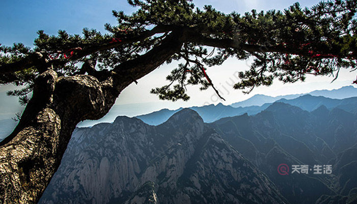 西岳指的是什么山