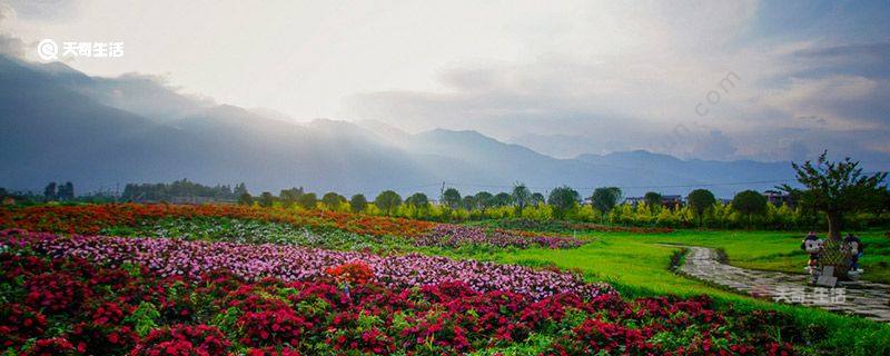 通化市春季赏花去哪里