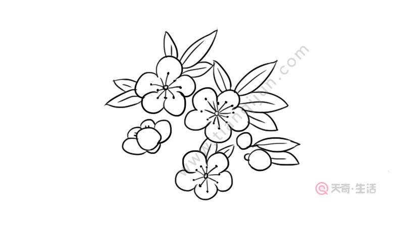 桃花简笔画