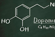 分泌多巴胺是什么意思 什么能刺激多巴胺分泌