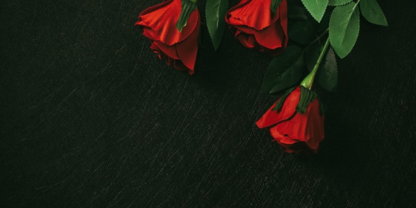 黑纱玫瑰的寓意