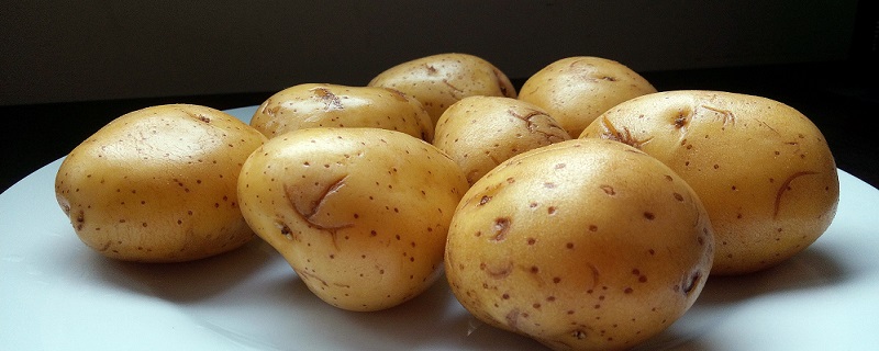 土豆炖西红柿的危害