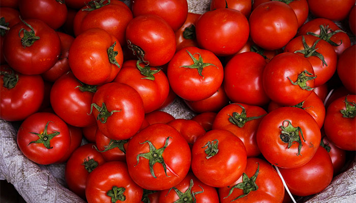 番茄结果期施什么肥好 番茄结果期怎么施肥