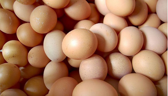 鸡蛋不新鲜的表现