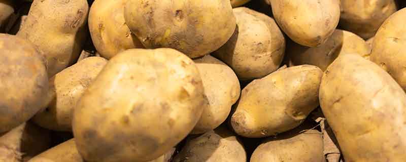 家庭长久储存土豆方法 