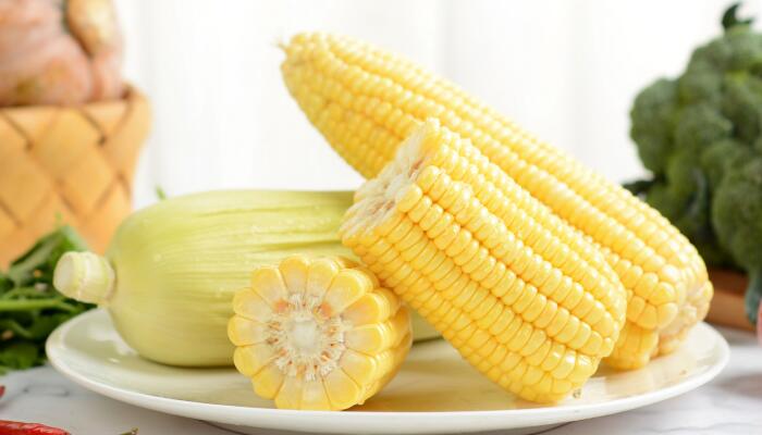 玉米属于什么类