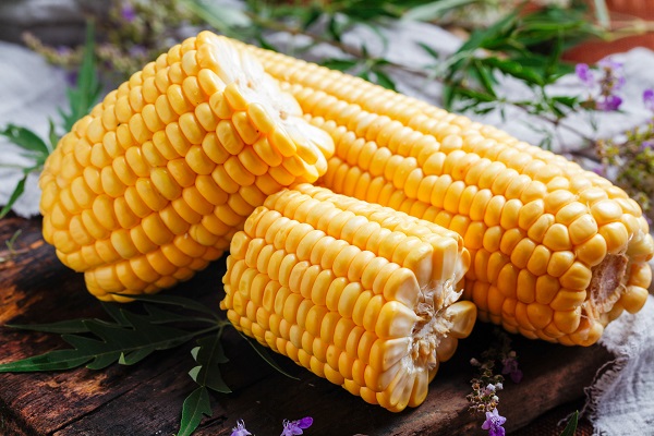 玉米可以生吃吗