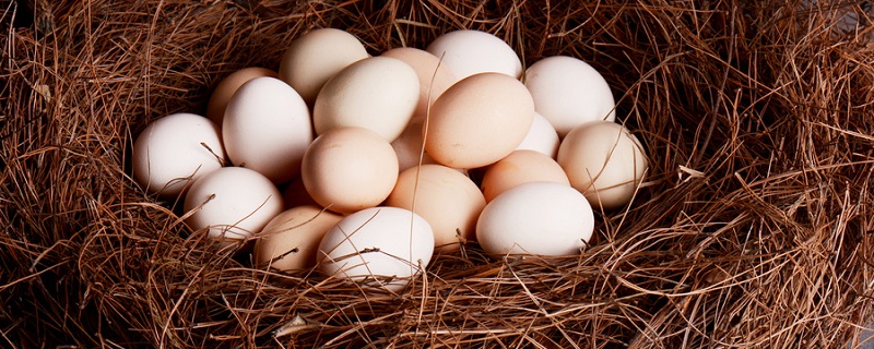 受精蛋和普通蛋有什么区别