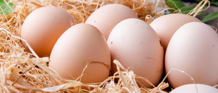 冬天鸡蛋怎么保存