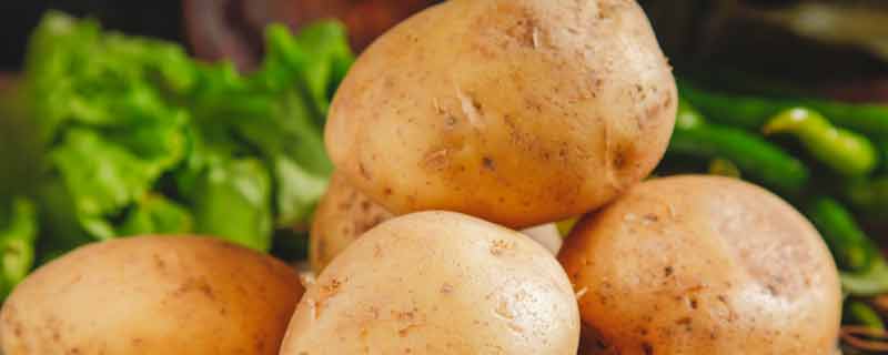 土豆发黑芽是什么情况