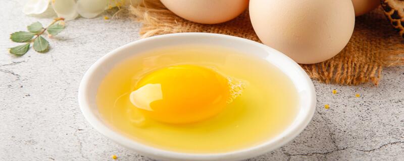 蛋黄液是什么