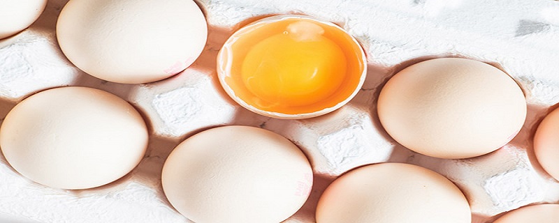 无抗鸡蛋与普通鸡蛋的区别