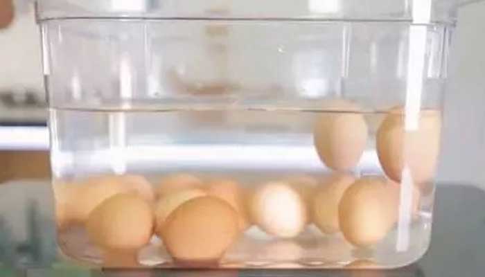 水中加盐鸡蛋会漂浮的原理