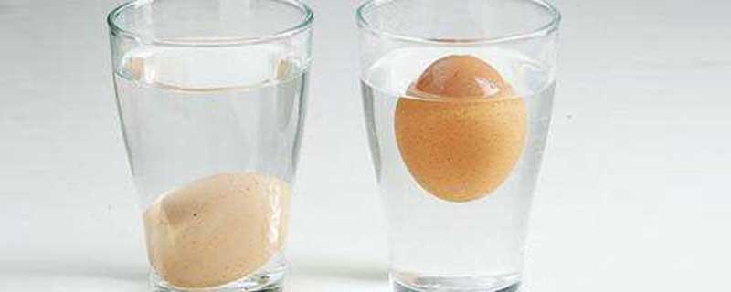水中加盐鸡蛋会漂浮的原理