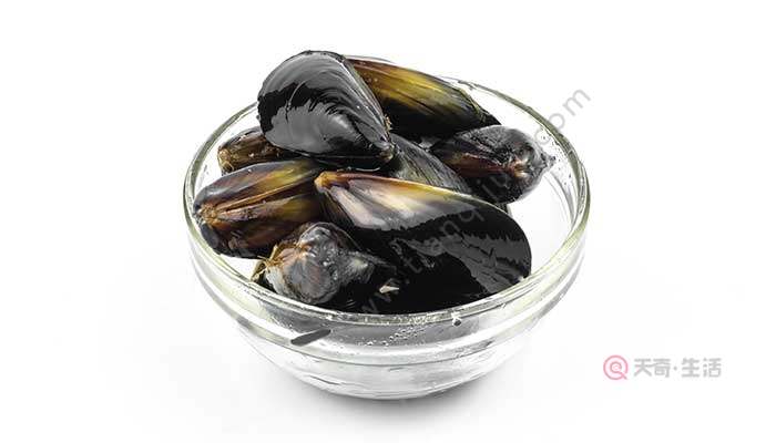 淡菜是什么 淡菜是啥