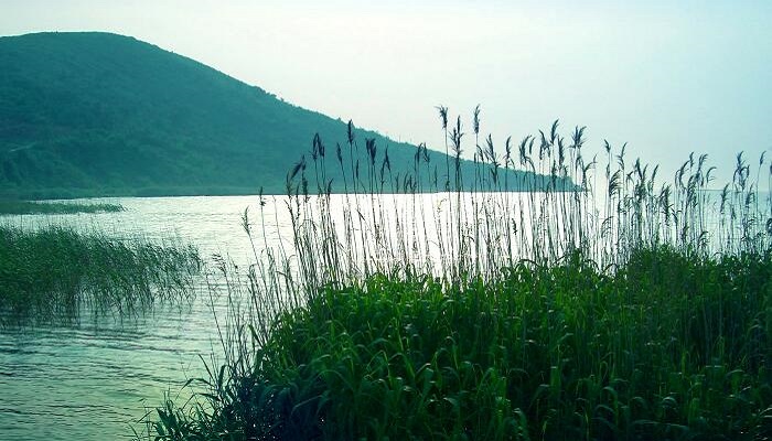 中国五大淡水湖 中国的五大淡水湖分别是哪五个