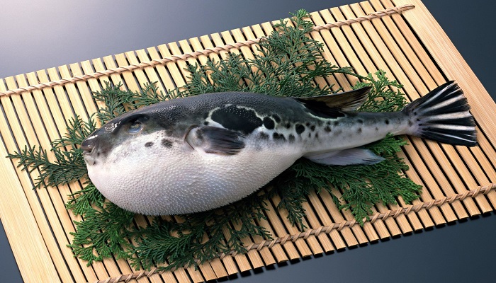 河豚鱼中含的河豚毒素是什么东西 河豚鱼中含的河豚毒素在哪里