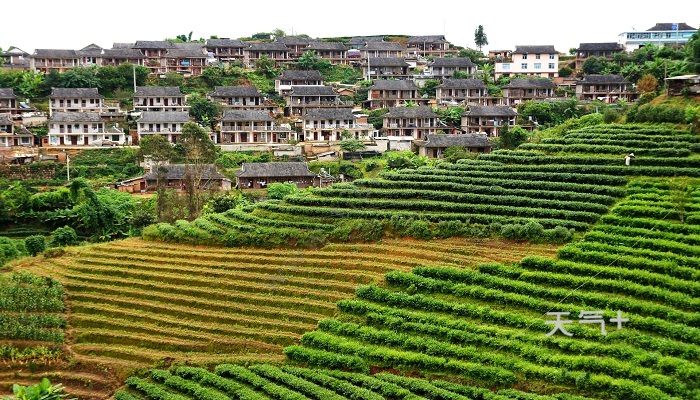 西双版纳穿衣指南 去西双版纳带什么衣服合适