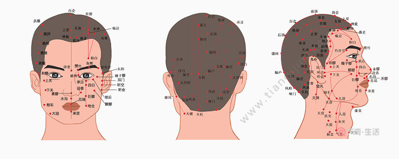 悬针纹和福针纹的区别悬针纹和福针纹有什么区别