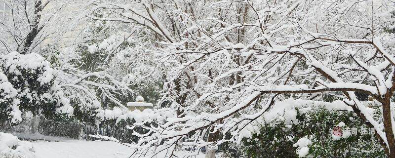 初雪发朋友圈句子 冬季第一场雪朋友圈文案