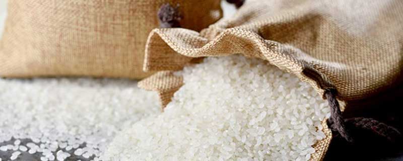 粳米和大米有哪些区别 粳米和大米的区别