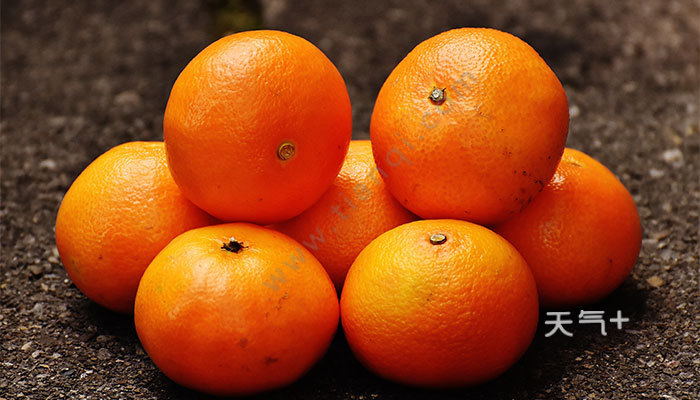橘子的功效与作用 橘子图片
