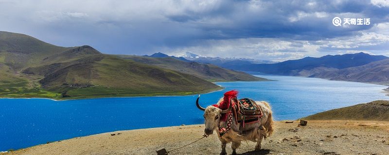 西藏三大圣湖是哪三个