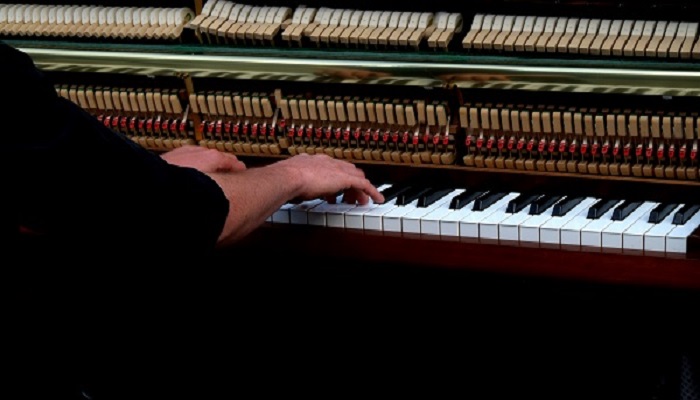 电子琴和钢琴有哪些区别 电子琴和钢琴的区别