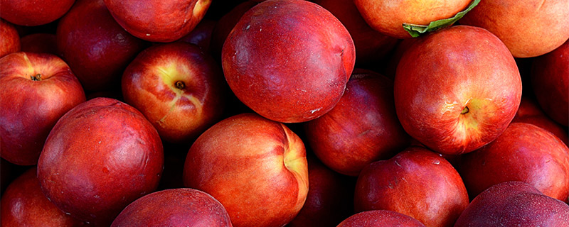 脆脆的桃子是什么品种 脆桃是什么品种