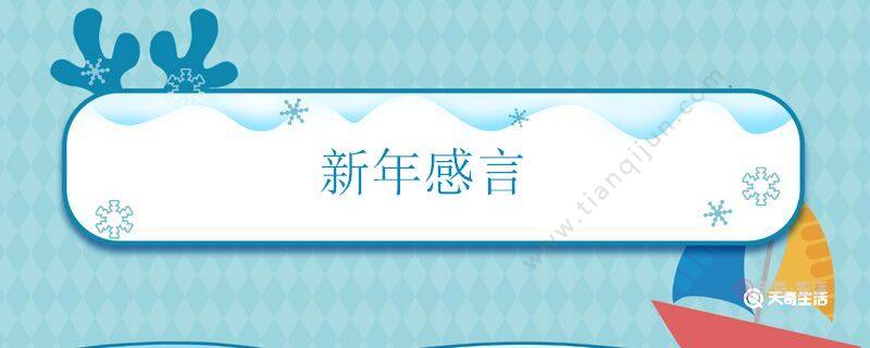 新年感言