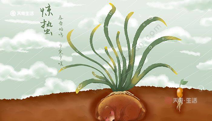 惊蛰节气的特点和风俗