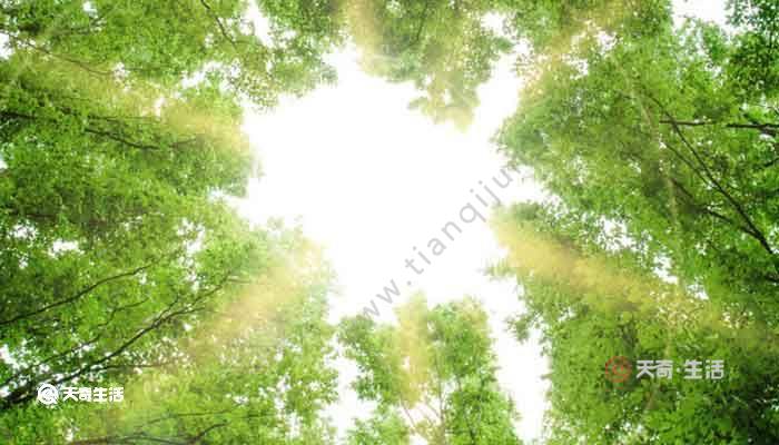 充满阳光的句子 正能量的句子
