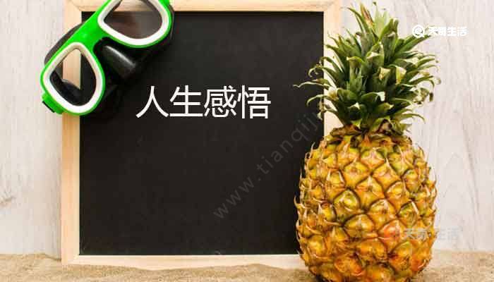 人生感悟的句子