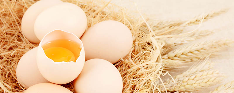 鸡蛋多久会坏 鸡蛋保存多久会坏